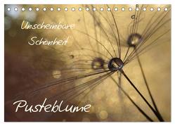 Unscheinbare Schönheit – Pusteblume (Tischkalender 2024 DIN A5 quer), CALVENDO Monatskalender von Doberstein,  Judith