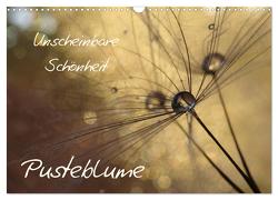 Unscheinbare Schönheit – Pusteblume (Wandkalender 2024 DIN A3 quer), CALVENDO Monatskalender von Doberstein,  Judith