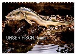 UNSER FISCH. SÜßWASSER. (Wandkalender 2024 DIN A3 quer), CALVENDO Monatskalender von morgenstern,  arne