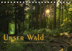 Unser Wald – Magische Sichten in norddeutsche Wälder / Geburtstagskalender (Tischkalender 2023 DIN A5 quer) von Langenkamp,  Heike