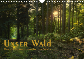 Unser Wald – Magische Sichten in norddeutsche Wälder / Geburtstagskalender (Wandkalender 2021 DIN A4 quer) von Langenkamp,  Heike