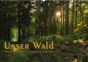 Unser Wald – Magische Sichten in norddeutsche Wälder / Geburtstagskalender (Wandkalender 2022 DIN A2 quer) von Langenkamp,  Heike