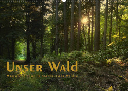 Unser Wald – Magische Sichten in norddeutsche Wälder / Geburtstagskalender (Wandkalender 2023 DIN A2 quer) von Langenkamp,  Heike