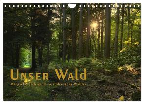 Unser Wald – Magische Sichten in norddeutsche Wälder / Geburtstagskalender (Wandkalender 2024 DIN A4 quer), CALVENDO Monatskalender von Langenkamp,  Heike