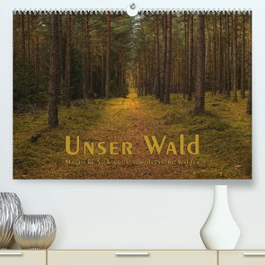 Unser Wald – Magische Sichten in norddeutsche Wälder (Premium, hochwertiger DIN A2 Wandkalender 2023, Kunstdruck in Hochglanz) von Langenkamp (dieimwaldlebt),  Heike