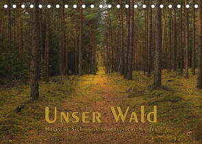 Unser Wald – Magische Sichten in norddeutsche Wälder (Tischkalender 2022 DIN A5 quer) von Langenkamp (dieimwaldlebt),  Heike