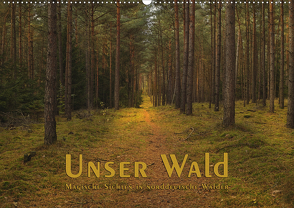 Unser Wald – Magische Sichten in norddeutsche Wälder (Wandkalender 2021 DIN A2 quer) von Langenkamp (dieimwaldlebt),  Heike