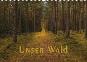 Unser Wald – Magische Sichten in norddeutsche Wälder (Wandkalender 2022 DIN A2 quer) von Langenkamp (dieimwaldlebt),  Heike