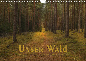 Unser Wald – Magische Sichten in norddeutsche Wälder (Wandkalender 2022 DIN A4 quer) von Langenkamp (dieimwaldlebt),  Heike