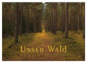 Unser Wald – Magische Sichten in norddeutsche Wälder (Wandkalender 2024 DIN A2 quer), CALVENDO Monatskalender von Langenkamp (dieimwaldlebt),  Heike