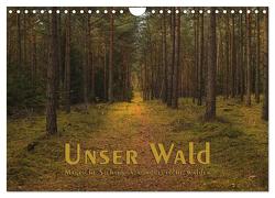 Unser Wald – Magische Sichten in norddeutsche Wälder (Wandkalender 2024 DIN A4 quer), CALVENDO Monatskalender von Langenkamp (dieimwaldlebt),  Heike
