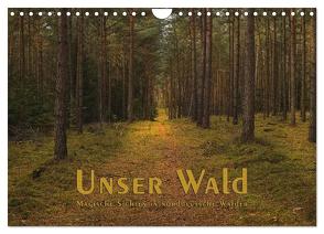 Unser Wald – Magische Sichten in norddeutsche Wälder (Wandkalender 2024 DIN A4 quer), CALVENDO Monatskalender von Langenkamp (dieimwaldlebt),  Heike