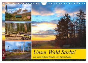Unser Wald Stirbt (Wandkalender 2024 DIN A4 quer), CALVENDO Monatskalender von Riedel,  Tanja