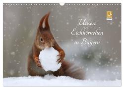 Unsere Eichhörnchen in Bayern (Wandkalender 2024 DIN A3 quer), CALVENDO Monatskalender von Cerny,  Birgit
