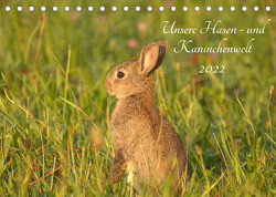 Unsere Hasen – und Kaninchenwelt (Tischkalender 2022 DIN A5 quer) von Andreas Lederle,  Kevin
