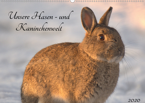 Unsere Hasen – und Kaninchenwelt (Wandkalender 2020 DIN A2 quer) von Andreas Lederle,  Kevin