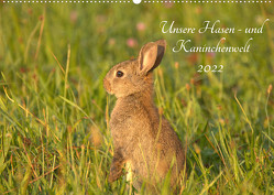 Unsere Hasen – und Kaninchenwelt (Wandkalender 2022 DIN A2 quer) von Andreas Lederle,  Kevin