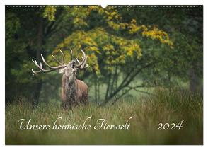 Unsere heimische Tierwelt (Wandkalender 2024 DIN A2 quer), CALVENDO Monatskalender von Reibert,  Björn