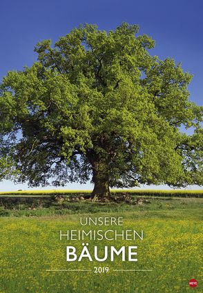 Unsere heimischen Bäume – Kalender 2019 von Heye