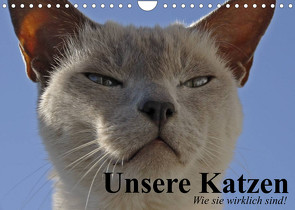 Unsere Katzen. Wie sie wirklich sind! (Wandkalender 2022 DIN A4 quer) von Stanzer,  Elisabeth