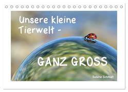 Unsere kleine Tierwelt – GANZ GROSS (Tischkalender 2024 DIN A5 quer), CALVENDO Monatskalender von Schmidt,  Sabine
