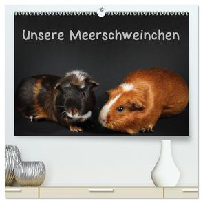 Unsere Meerschweinchen (hochwertiger Premium Wandkalender 2024 DIN A2 quer), Kunstdruck in Hochglanz von Klecker,  Hermann