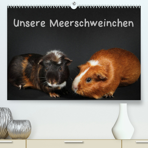 Unsere Meerschweinchen (Premium, hochwertiger DIN A2 Wandkalender 2023, Kunstdruck in Hochglanz) von Klecker,  Hermann