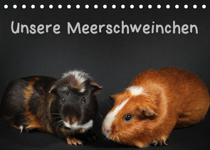 Unsere Meerschweinchen (Tischkalender 2023 DIN A5 quer) von Klecker,  Hermann