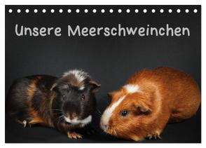 Unsere Meerschweinchen (Tischkalender 2024 DIN A5 quer), CALVENDO Monatskalender von Klecker,  Hermann