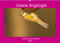Unsere Singvögel (Wandkalender 2022 DIN A2 quer) von Andreas Lederle,  Kevin