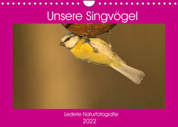 Unsere Singvögel (Wandkalender 2022 DIN A4 quer) von Andreas Lederle,  Kevin