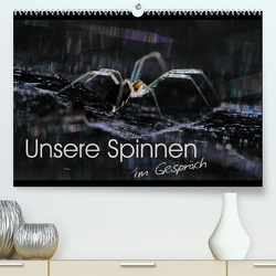 Unsere Spinnen – im Gespräch (Premium, hochwertiger DIN A2 Wandkalender 2023, Kunstdruck in Hochglanz) von Herbolzheimer,  Carl-Peter