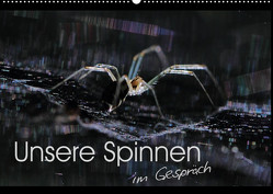 Unsere Spinnen – im Gespräch (Wandkalender 2023 DIN A2 quer) von Herbolzheimer,  Carl-Peter