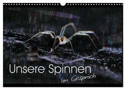 Unsere Spinnen – im Gespräch (Wandkalender 2024 DIN A3 quer), CALVENDO Monatskalender von Herbolzheimer,  Carl-Peter