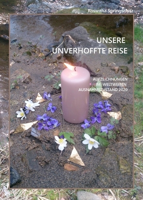 Unsere unverhoffte Reise von Springschitz,  Roswitha