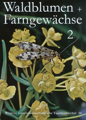 Unsere Waldblumen und Farngewächse von Hartmann,  F K, Paysan,  Klaus, Rühl,  A.