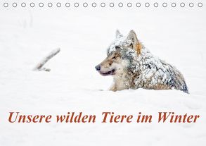 Unsere wilden Tiere im Winter (Tischkalender 2020 DIN A5 quer) von GDT, Martin,  Wilfried