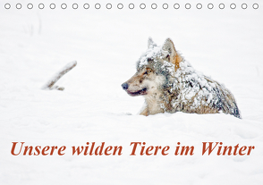 Unsere wilden Tiere im Winter (Tischkalender 2021 DIN A5 quer) von GDT, Martin,  Wilfried