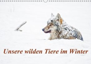 Unsere wilden Tiere im Winter (Wandkalender 2018 DIN A3 quer) von GDT, Martin,  Wilfried