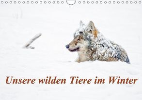 Unsere wilden Tiere im Winter (Wandkalender 2018 DIN A4 quer) von GDT, Martin,  Wilfried