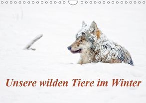 Unsere wilden Tiere im Winter (Wandkalender 2019 DIN A4 quer) von GDT, Martin,  Wilfried