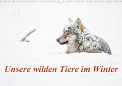 Unsere wilden Tiere im Winter (Wandkalender 2021 DIN A3 quer) von GDT, Martin,  Wilfried