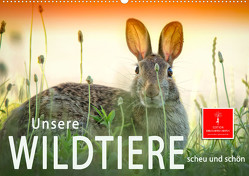 Unsere Wildtiere – scheu und schön (Wandkalender 2023 DIN A2 quer) von Roder,  Peter