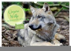 Unsere Wölfe – Ein Wildtier kehrt zurück (Wandkalender 2024 DIN A3 quer), CALVENDO Monatskalender von Rohde,  Angela
