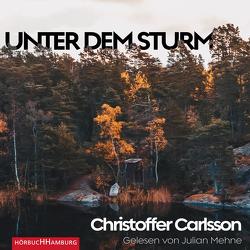 Unter dem Sturm von Carlsson,  Christoffer, Dahmann,  Susanne, Mehne,  Julian