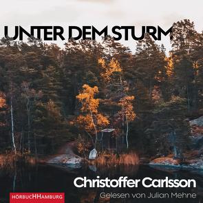 Unter dem Sturm von Carlsson,  Christoffer, Dahmann,  Susanne, Mehne,  Julian