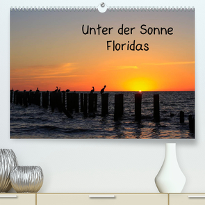 Unter der Sonne Floridas (Premium, hochwertiger DIN A2 Wandkalender 2023, Kunstdruck in Hochglanz) von Haberstock,  Matthias