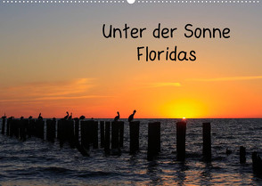 Unter der Sonne Floridas (Wandkalender 2023 DIN A2 quer) von Haberstock,  Matthias