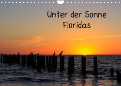 Unter der Sonne Floridas (Wandkalender 2023 DIN A4 quer) von Haberstock,  Matthias