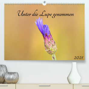 Unter die Lupe genommen (Premium, hochwertiger DIN A2 Wandkalender 2021, Kunstdruck in Hochglanz) von Andreas Lederle,  Kevin